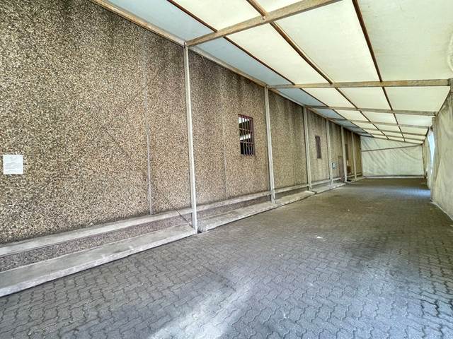 Photo 38